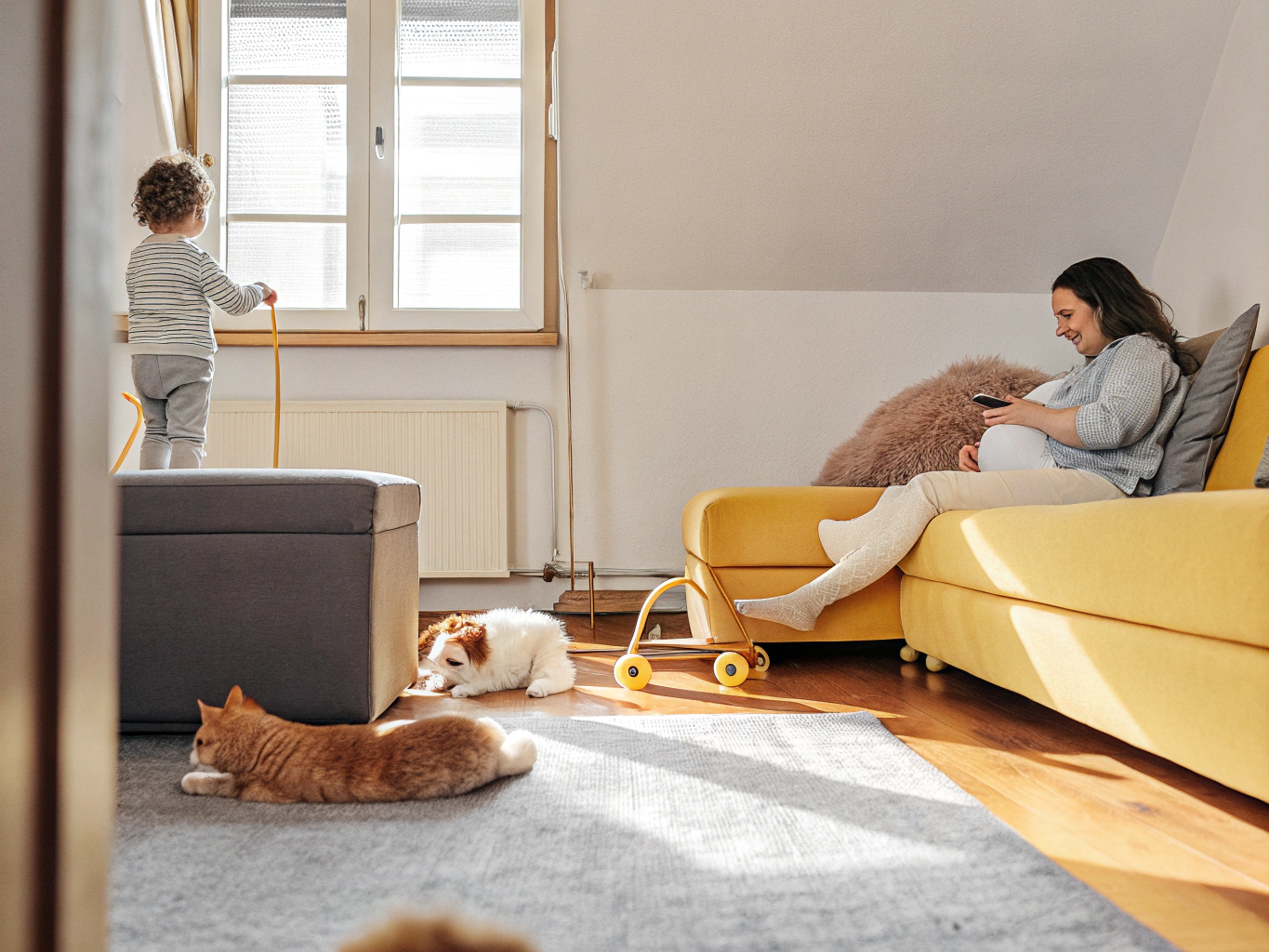 Hogar con bebés/embarazo: desparasitación segura y prevención en mascotas