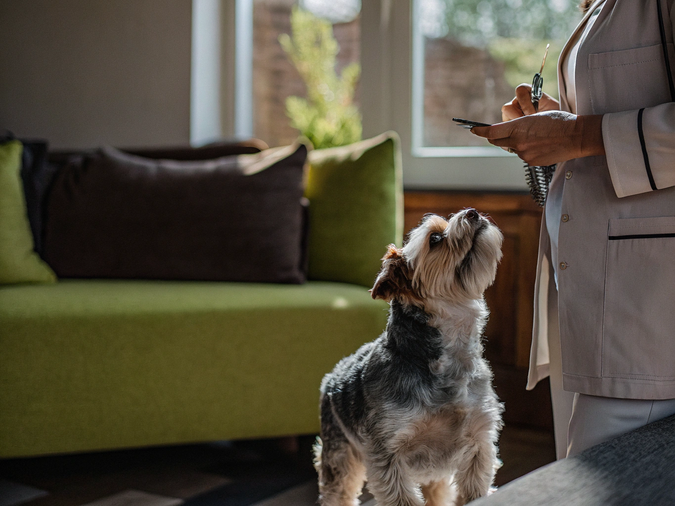 ¿Puse una vacuna tarde? Cómo retomar el calendario sin empezar de cero